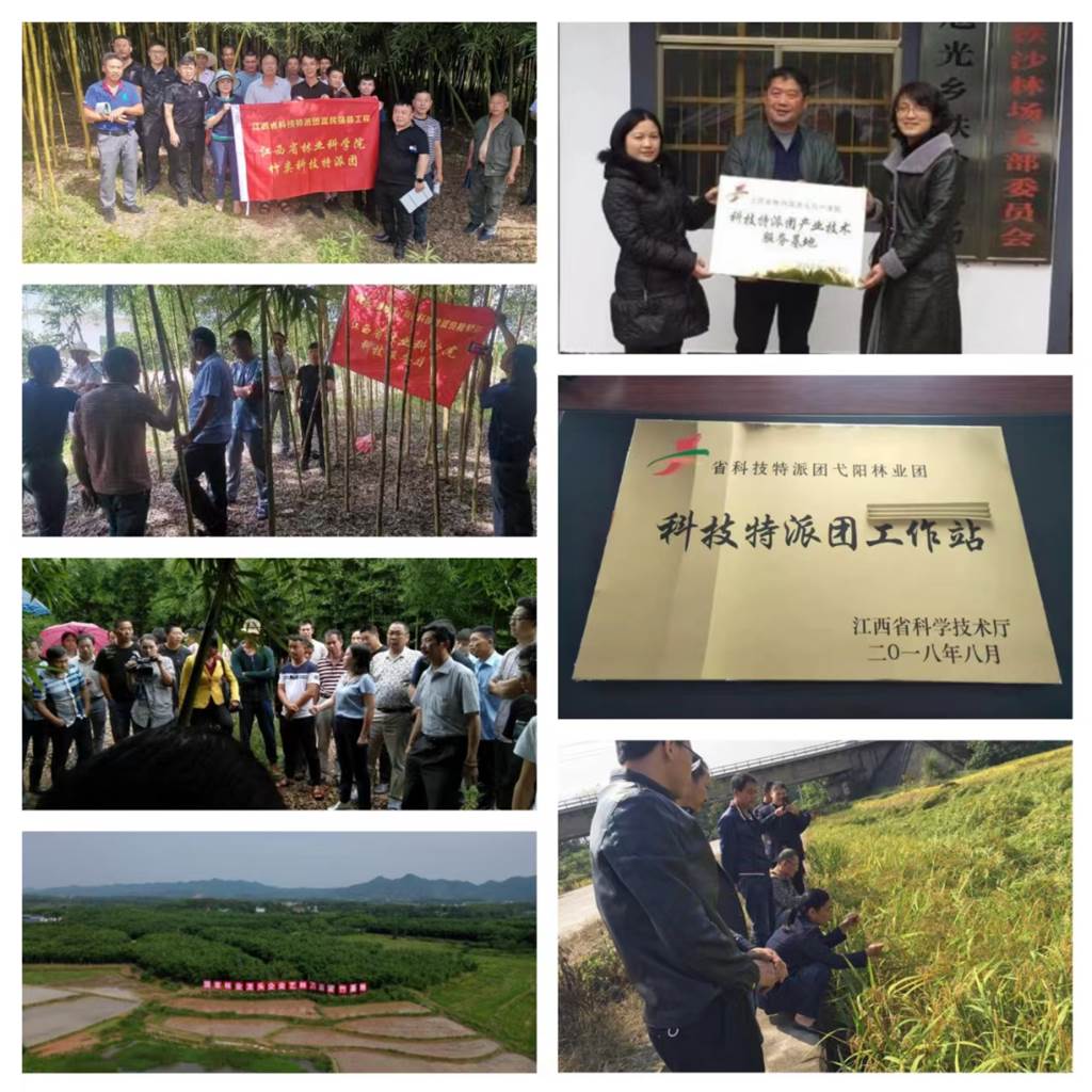 说明: 图片