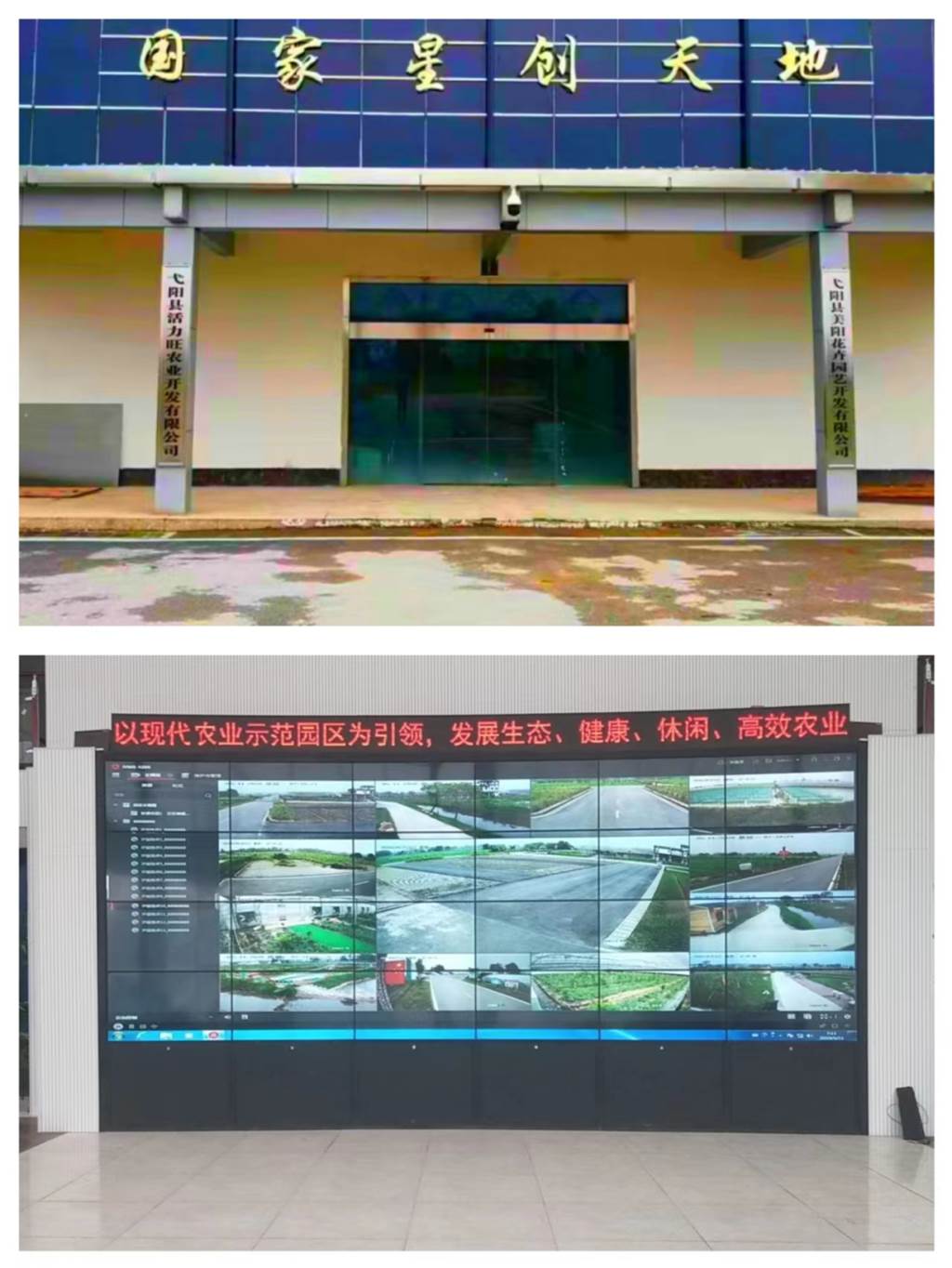 说明: 图片