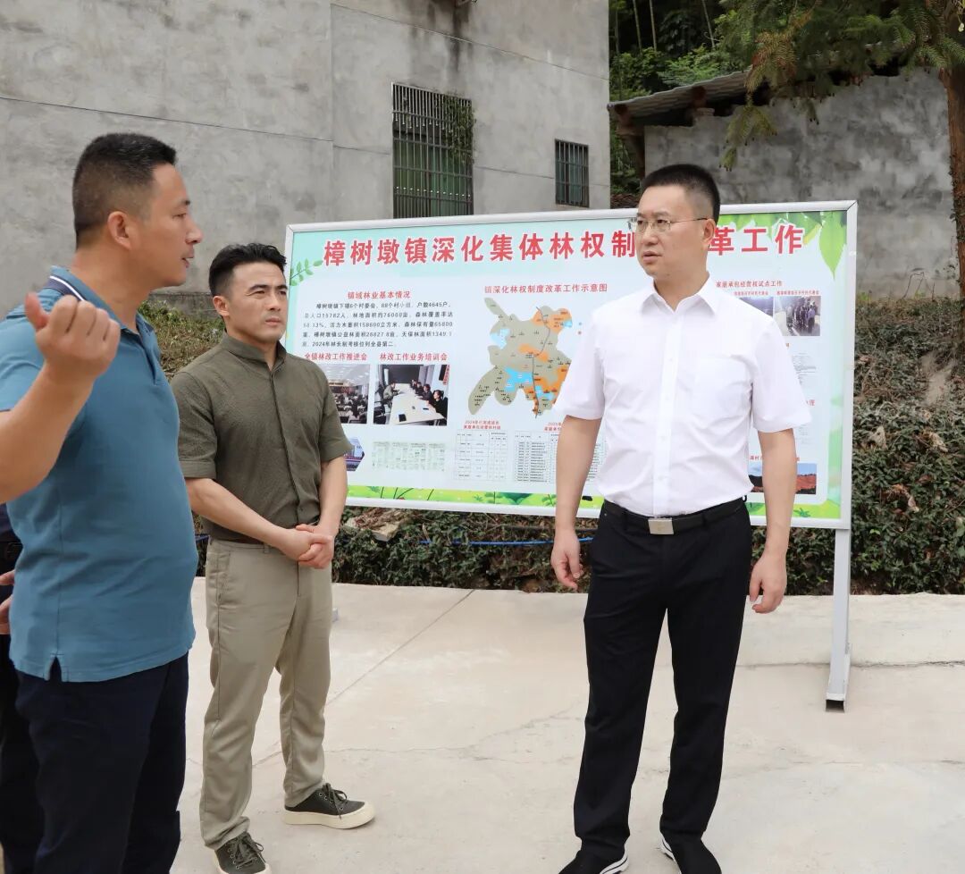 吴华调研深化集体林权制度改革和土地延包工作